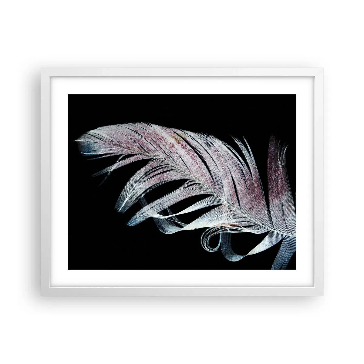 Affisch i vit ram - Tänk på smekning - 50x40 cm