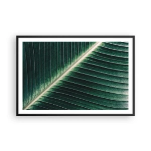 Affisch i svart ram - Naturens rytm - 91x61 cm