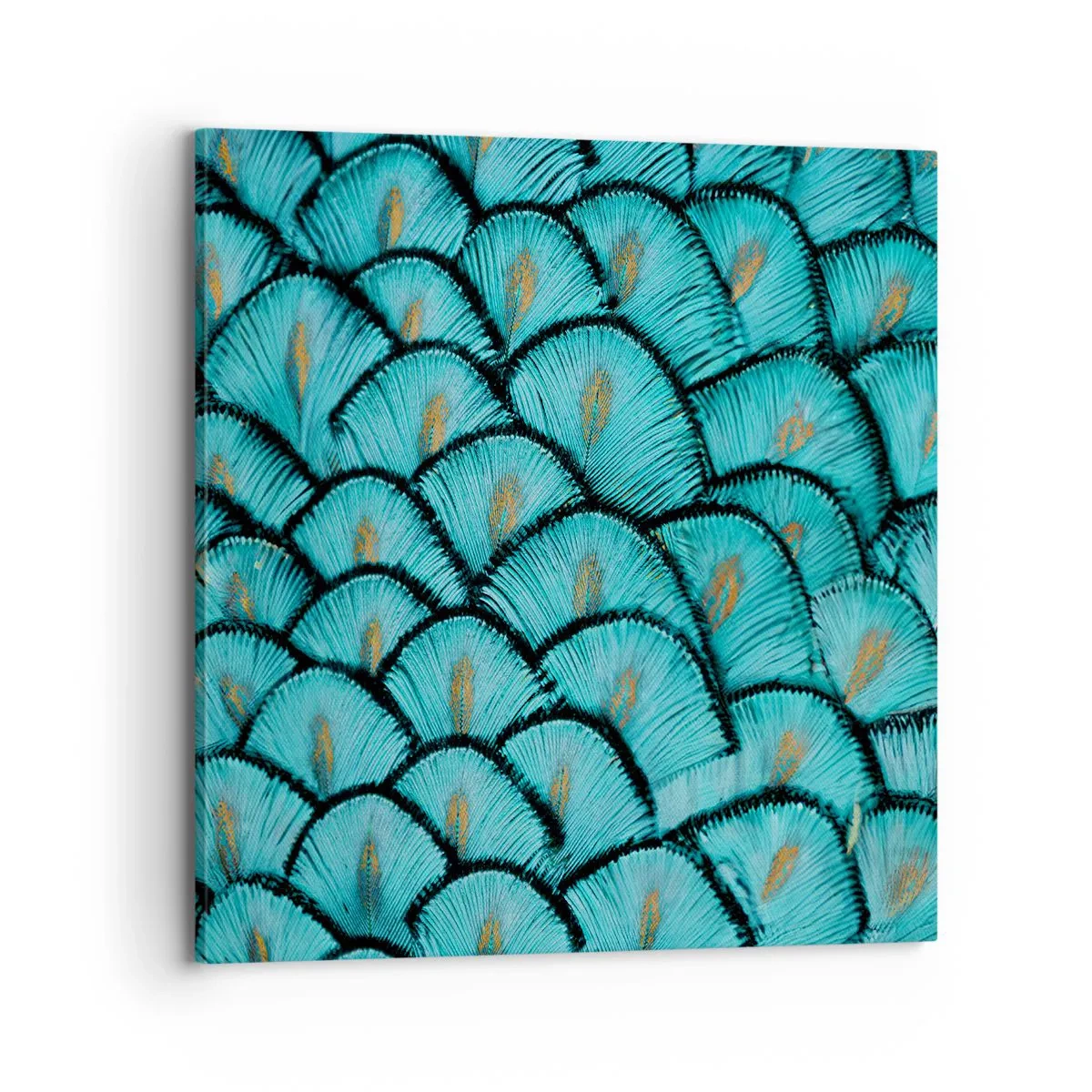 Canvastavla - Bild på duk - Den stora fjädergalan - 70x70 cm