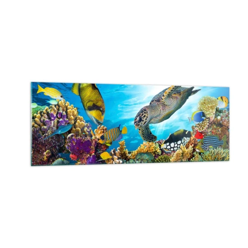 Glastavla - Bild på glas - Korallpromenad - 140x50 cm