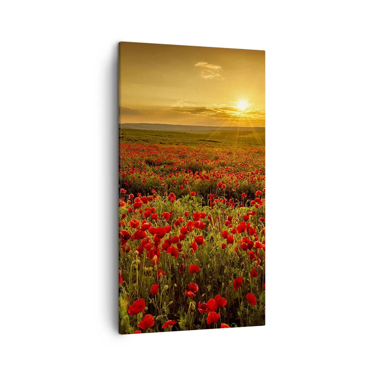 Canvastavla - Bild på duk - Bland brusande ängars vågor, bland blommornas flod - 45x80 cm