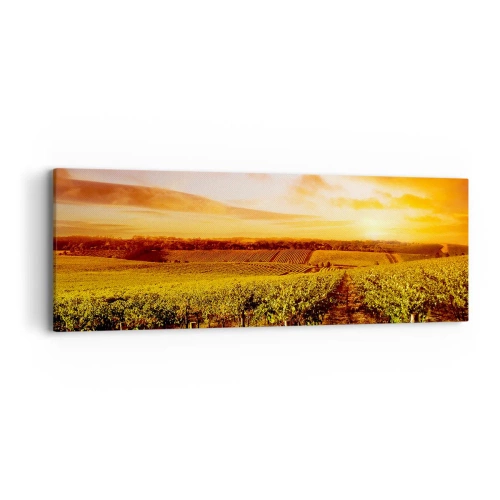 Canvastavla - Bild på duk - Fina druvor med en gnutta sol - 90x30 cm