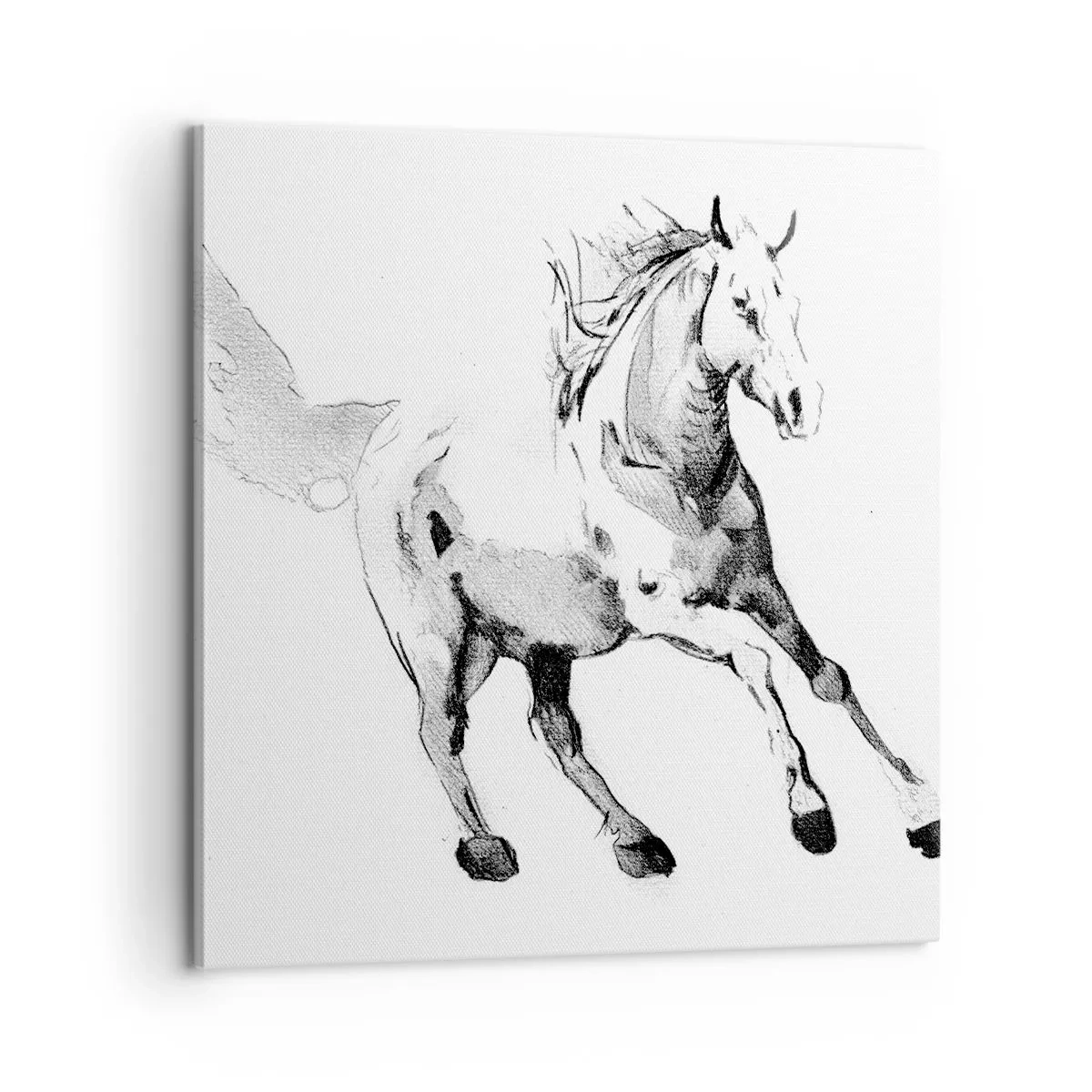 Canvastavla - Bild på duk - Obändig själ - 60x60 cm