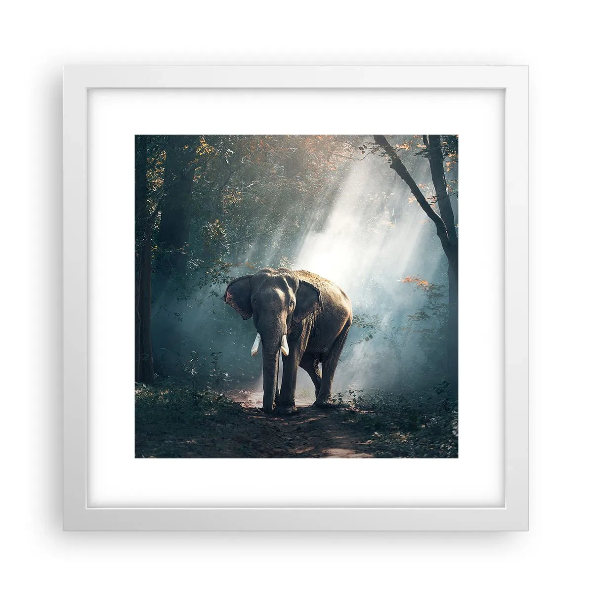 Affisch i vit ram - Lugn promenad - 30x30 cm