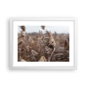 Affisch i vit ram - Dags att flyga bort med vinden - 40x30 cm