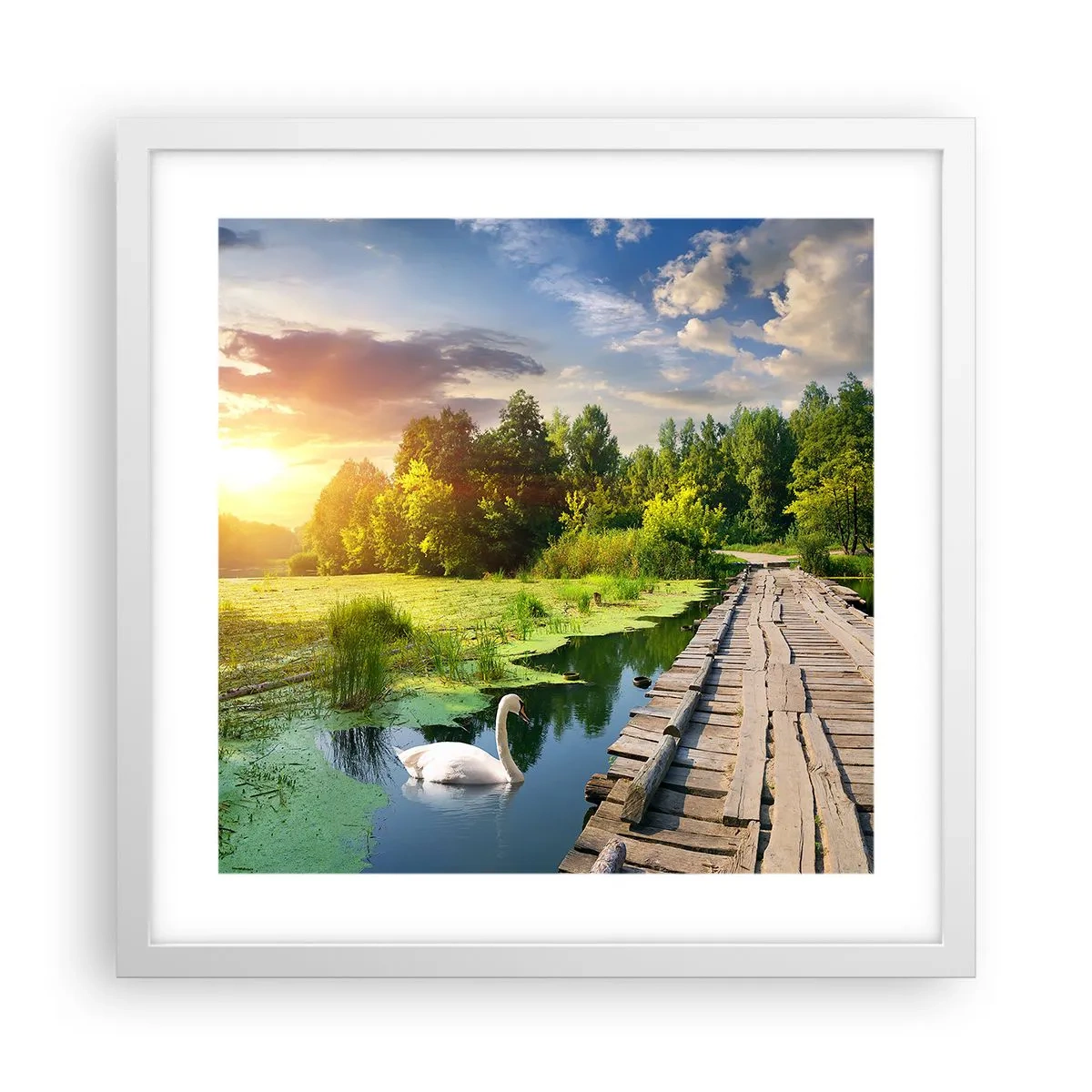 Affisch i vit ram - Sommar, sommar överallt - 40x40 cm