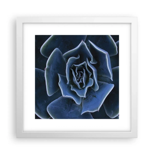 Affisch i vit ram - Öknens blomma - 30x30 cm