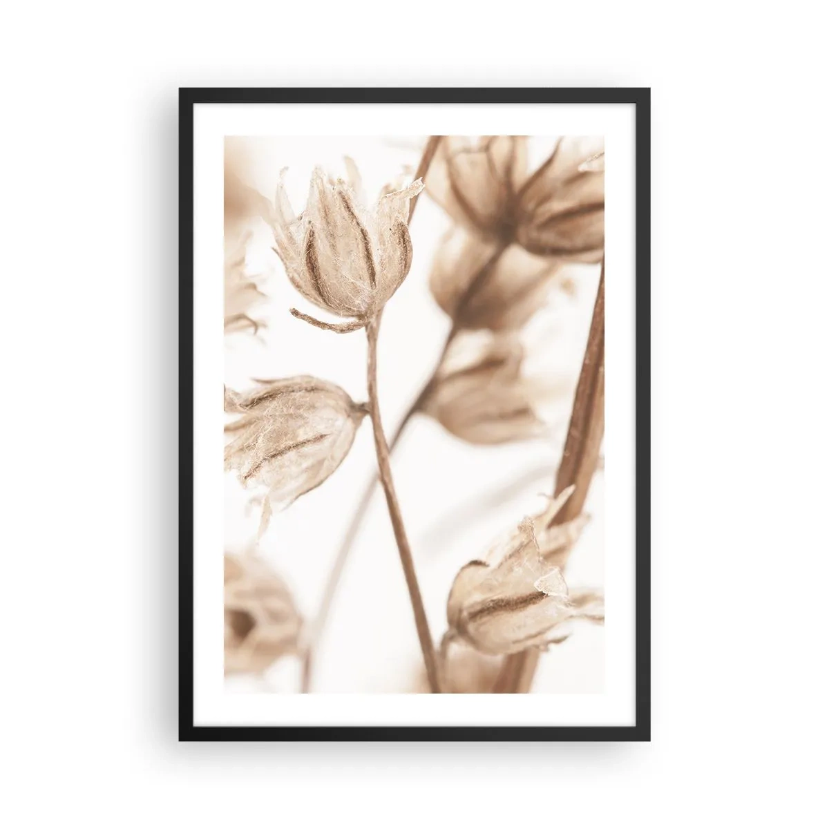 Affisch i svart ram - Torkade växter i sepia på en ljus bakgrund - 50x70cm - De kallar för slutet av sommaren - Modern väggdekoration för vardagsrum och sovrum ARTTOR