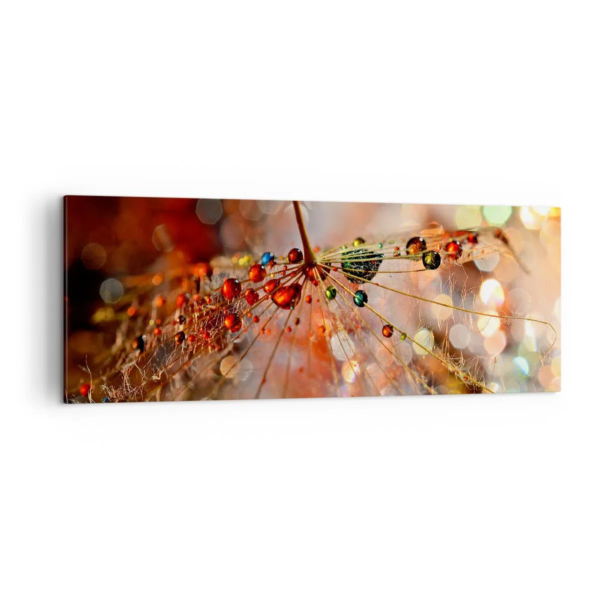 Canvastavla - Bild på duk - Trädda på spindelnät - 140x50 cm