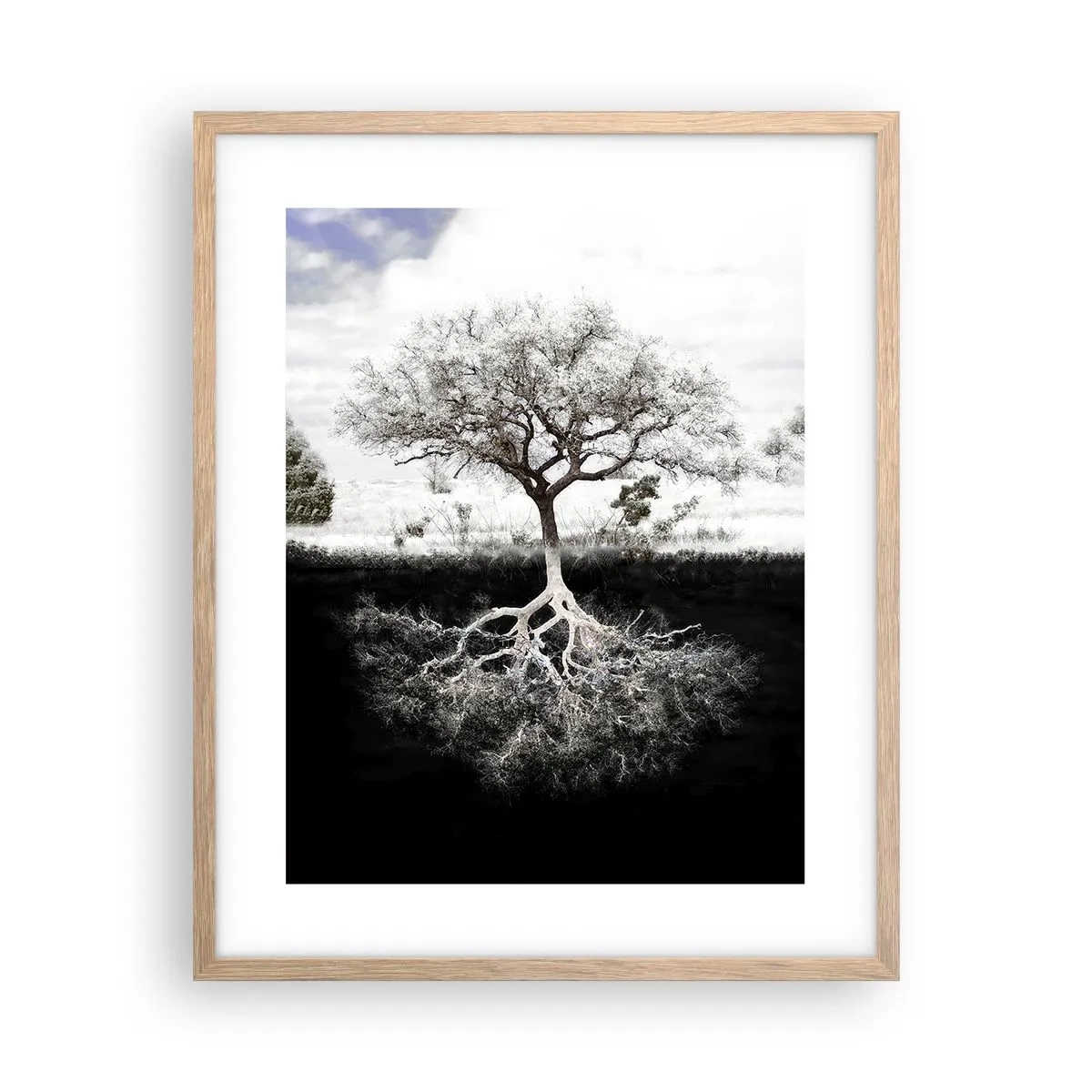 Affisch i ram av ljusek - Upptäckt av världens natur - 40x50 cm