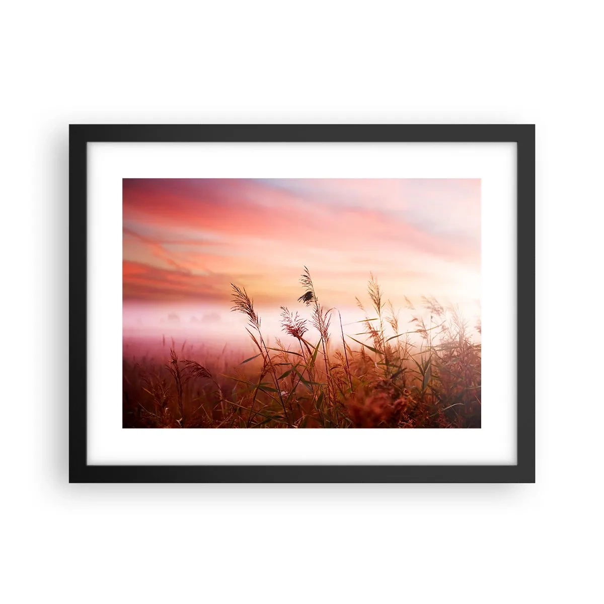 Affisch i svart ram - Drakar, maskrosor, vind - 40x30 cm