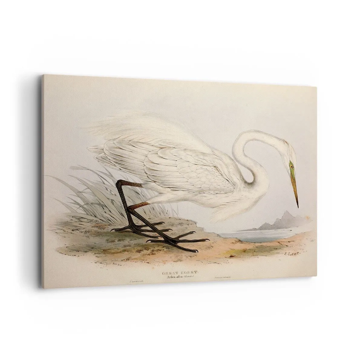 Canvastavla - Bild på duk - En dam i vassen - 100x70 cm