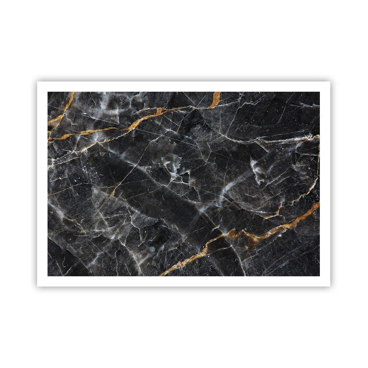Affisch - Stenens interna liv - 100x70 cm