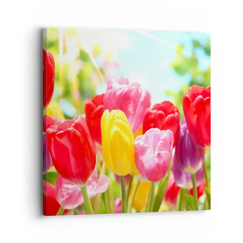 Canvastavla - Bild på duk - Det är vi, majfärgerna! - 30x30 cm