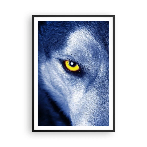 Affisch i svart ram - Hypnotiserade titt - 70x100 cm