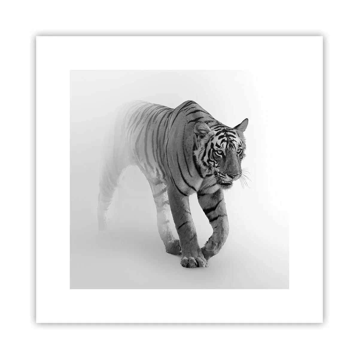 Affisch - Gömd i dimman - 30x30 cm