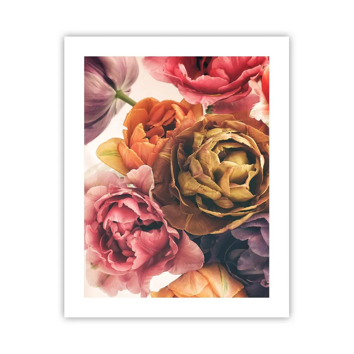 Affisch - Livets högtid - 40x50 cm