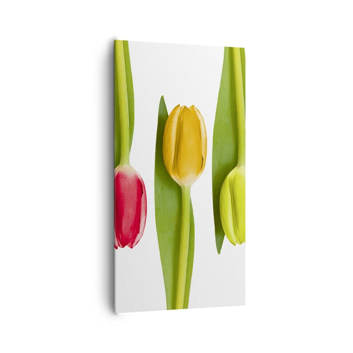 Canvastavla - Bild på duk - Regnbågskomposition - 65x120 cm