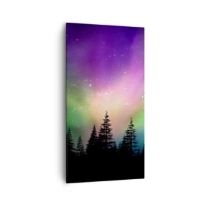 Canvastavla - Bild på duk - Vita magin - 55x100 cm