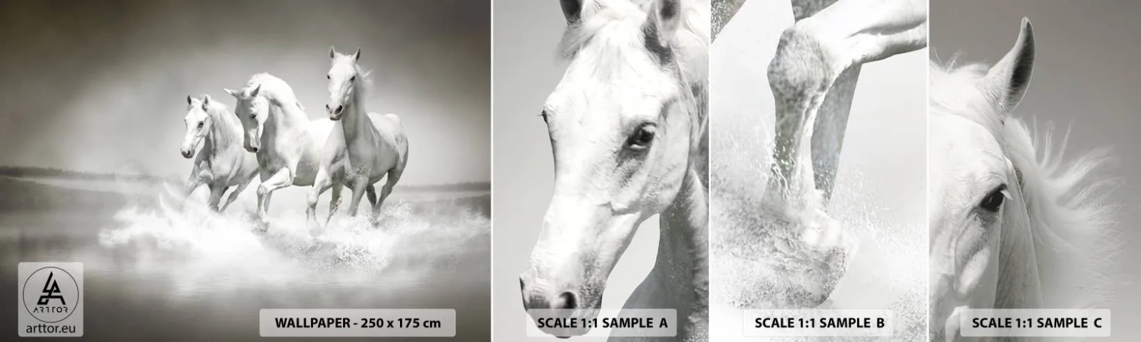 Fototapet Prov Standard Eco - Vit vildhet - Djur, Hästar, Natur - 100x30 cm