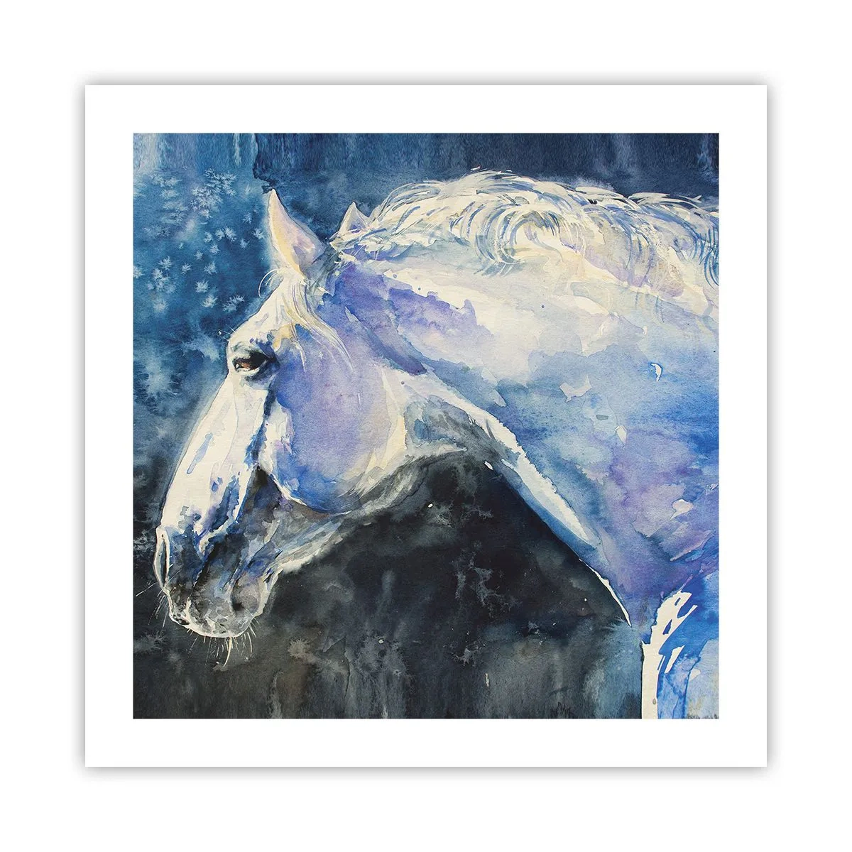 Affisch - Porträtt i blått sken - 50x50 cm