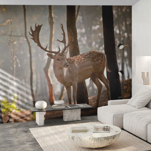 Självhäftande Fototapet Deluxe Sticker - Ungdomens ljus - Djur, Rådjur, Skog - 250x175 cm