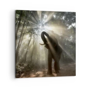 Canvastavla - Bild på duk - Under en lycklig stjärna - 60x60 cm
