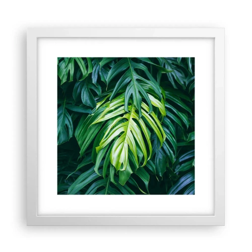 Affisch i vit ram - Doppa sig i fräschheten - 30x30 cm