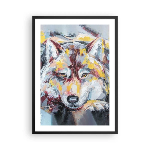 Affisch i svart ram - Abstrakt porträtt av en varg med färgglada penseldrag. - 50x70cm - Lugnt bland de närmsta - Modern väggdekoration för vardagsrum och sovrum ARTTOR