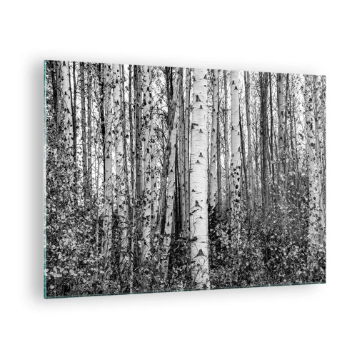 Glastavla - Bild på glas - Svartvita björkar skapar ett tätt skogslandskap - 70x50cm - Björkpelargång - Modern väggdekoration för vardagsrum och sovrum ARTTOR