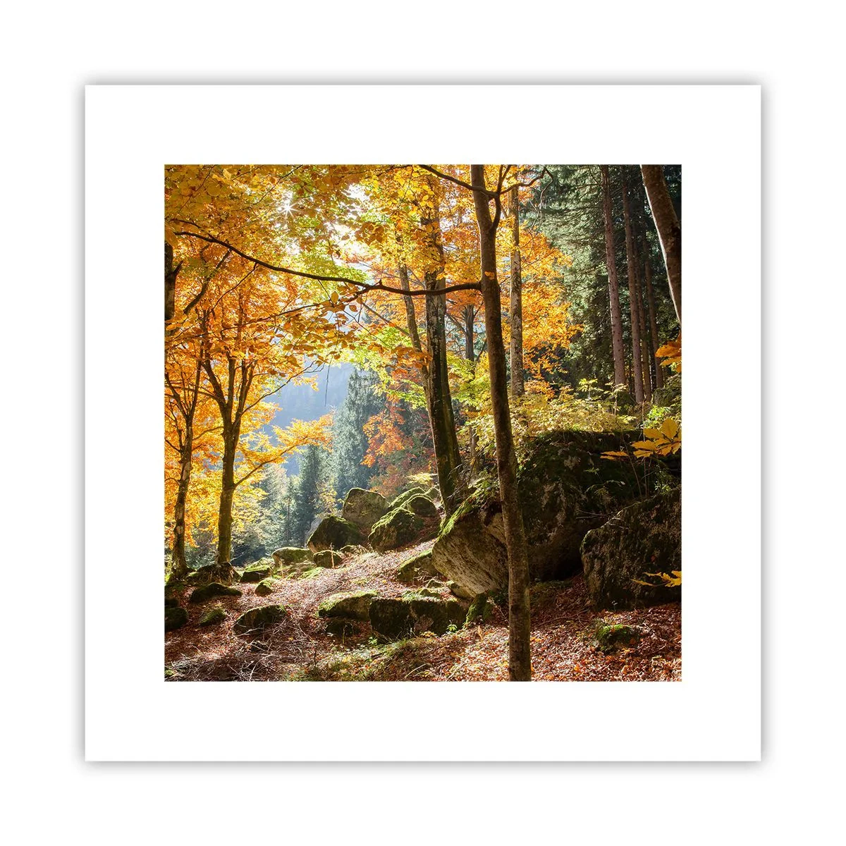 Affisch - Dags att vila - 30x30 cm