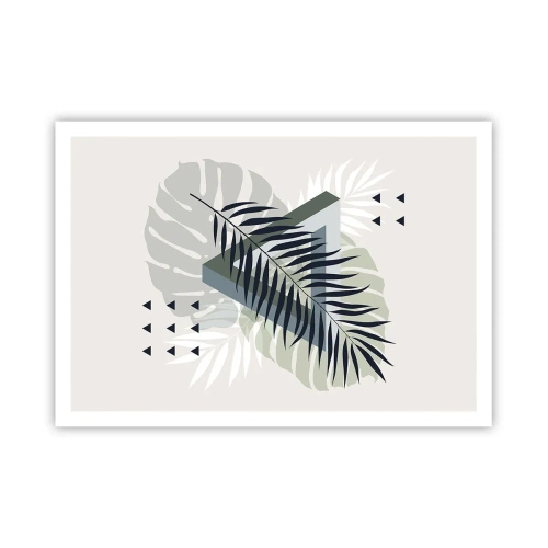 Affisch - Natur och geometri – två ordningar? - 100x70 cm