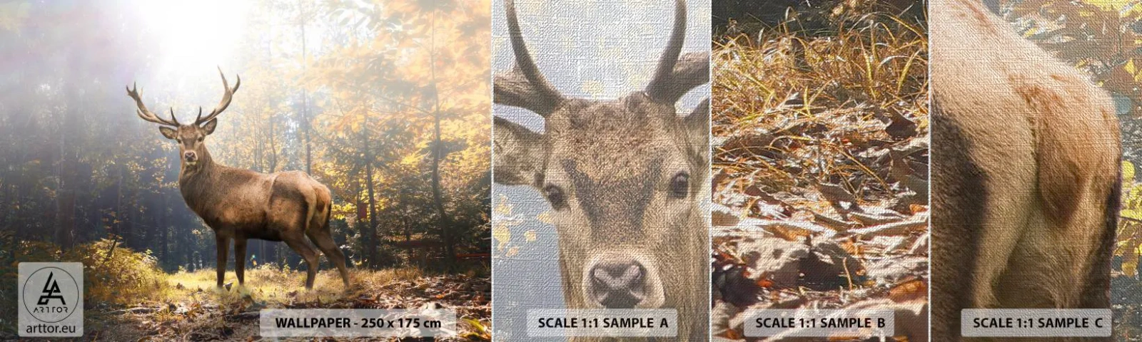 Provbit av fototapet Premium Canvas - I fullt majestät - Landskap, Rådjur, Skog - 100x30 cm