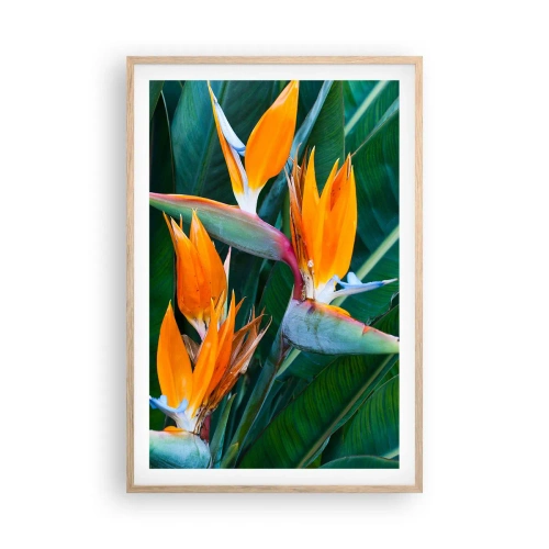 Affisch i ram av ljusek - Är det en blomma, eller en fågel? - 61x91 cm