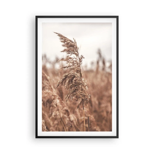 Affisch i svart ram - Hösten är framme på åkrarna - 61x91 cm