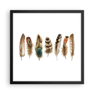 Affisch i svart ram - Fjädervariation - 40x40 cm