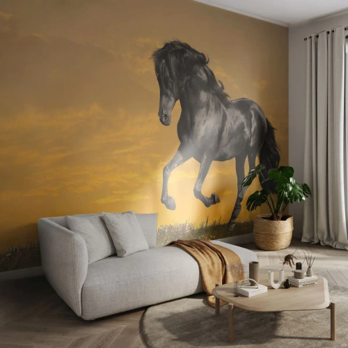 Självhäftande Fototapet Deluxe Sticker - Vacker, fri och vild - Djur, Häst, Landskap - 400x280 cm
