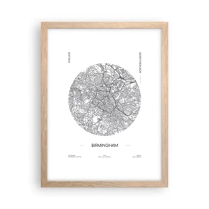 Affisch i ram av ljusek - Birminghams anatomi - 30x40 cm