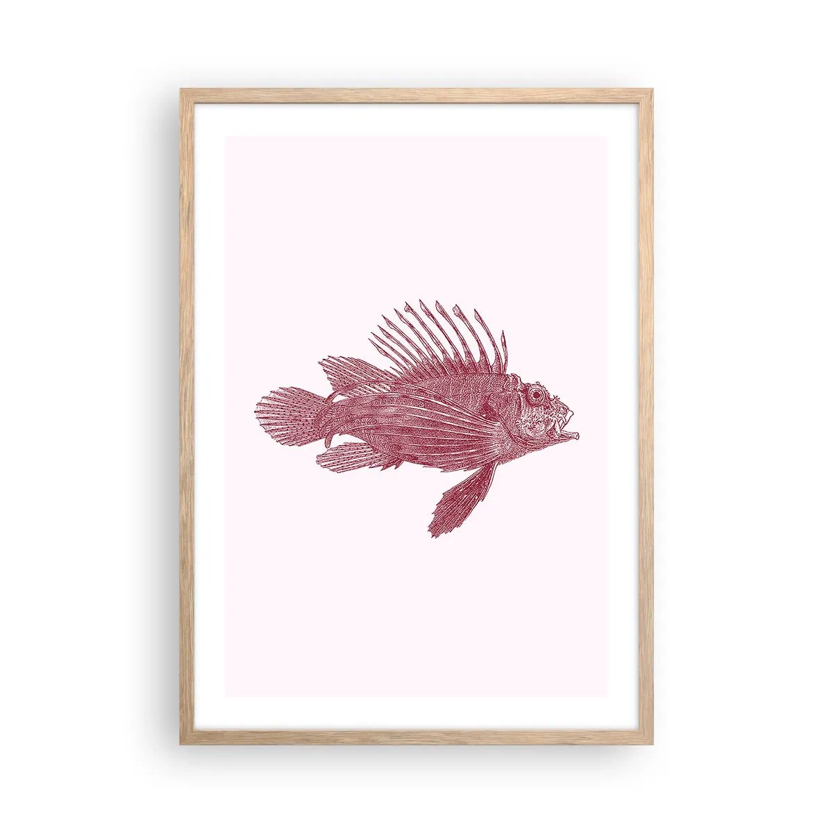 Affisch i ram av ljusek - En invånare i exotiska vatten - 50x70 cm