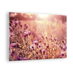 Glastavla - Bild på glas - Lila blommor på ängen i ljuset av den nedgående solen - 70x50cm - Innan sommaren går bort - Modern väggdekoration för vardagsrum och sovrum ARTTOR