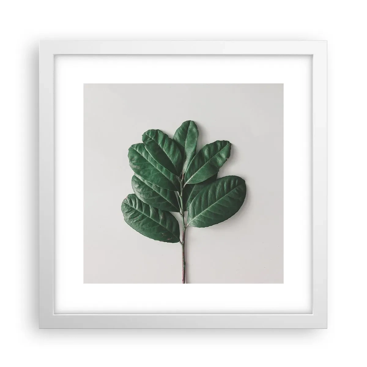 Affisch i vit ram - Själva naturens bild - 30x30 cm