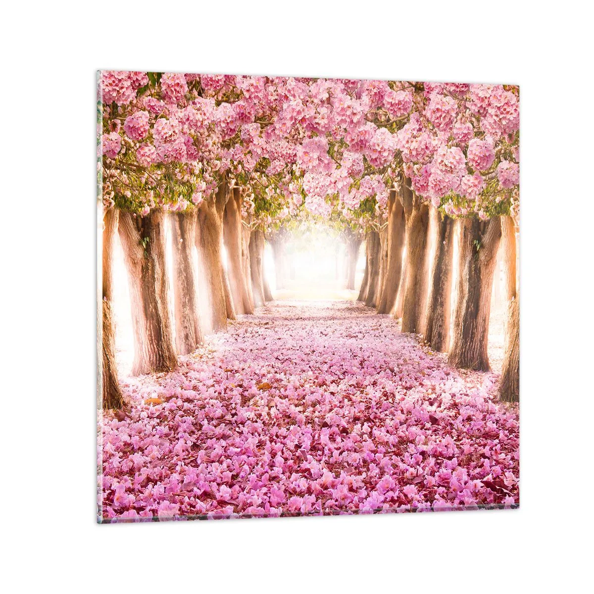 Glastavla - Bild på glas - Vägen till paradiset - 50x50 cm