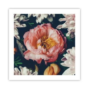 Affisch - Med barockprakt - 50x50 cm