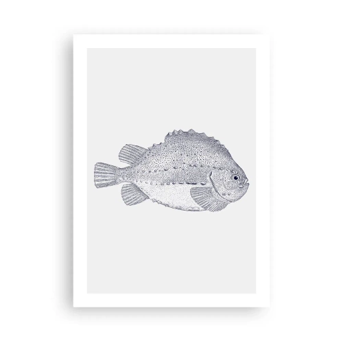 Affisch - Till naturforskarens album - 50x70 cm