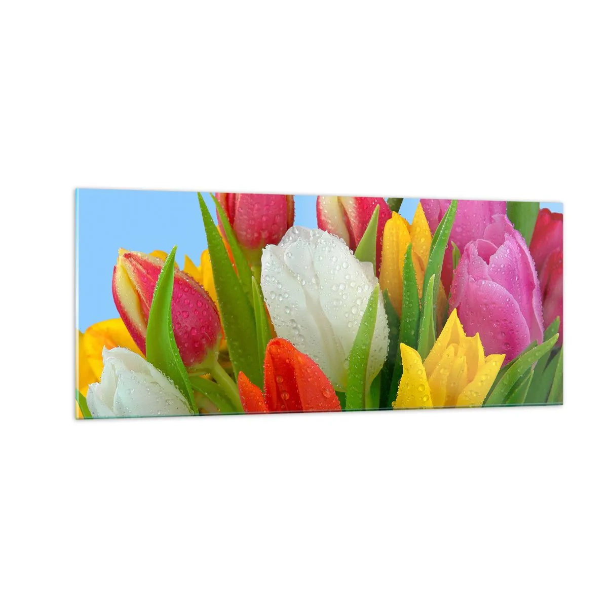 Glastavla - Bild på glas - blommig regnbåge i daggdroppar - 100x40 cm