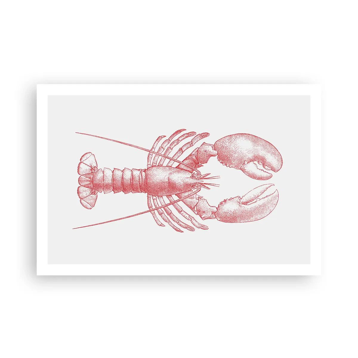 Affisch - Hummer värdig Homer - 91x61 cm