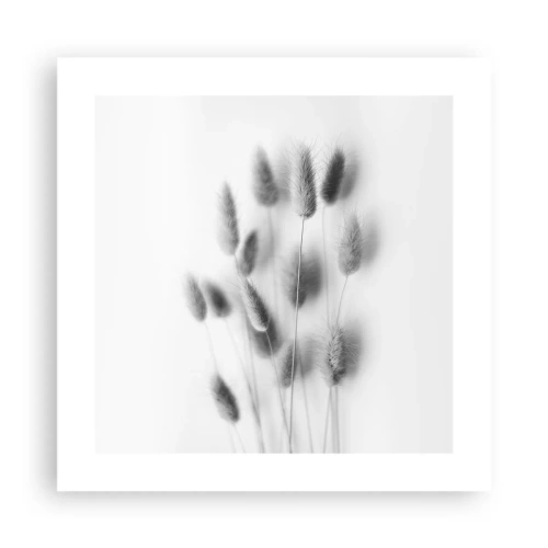 Affisch - Fluffigt gräs - 40x40 cm