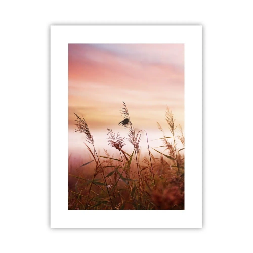 Affisch - Drakar, maskrosor, vind - 30x40 cm