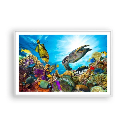 Affisch i vit ram - Korallpromenad - 91x61 cm
