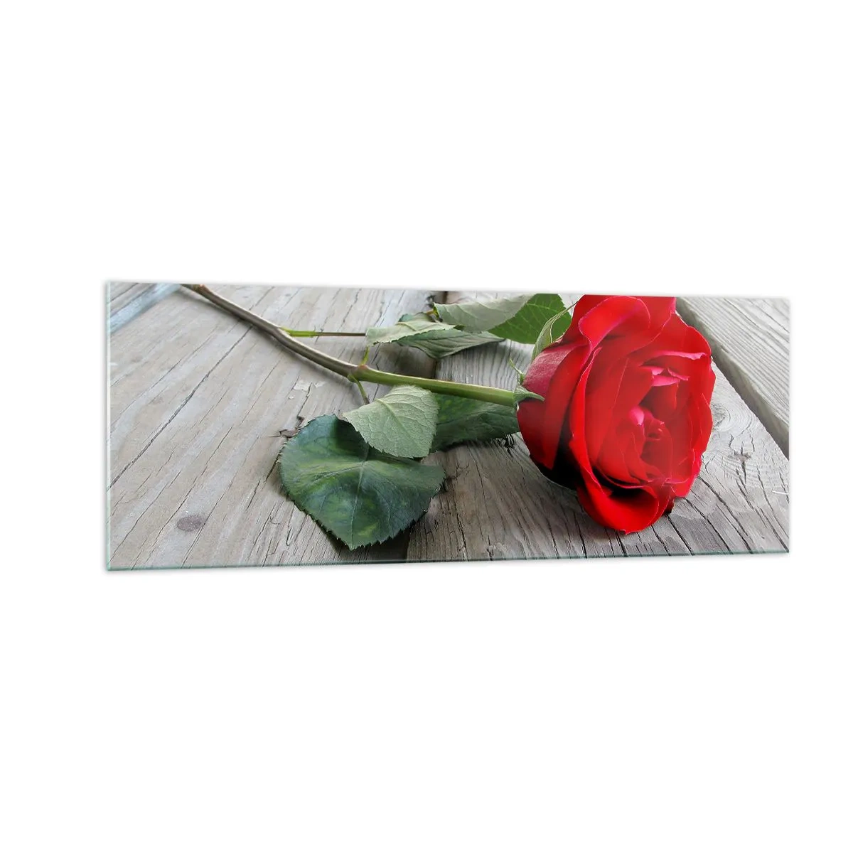 Glastavla - Bild på glas - En studie i scharlakansröd - 140x50 cm